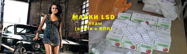 ECSTASY Алзамай
