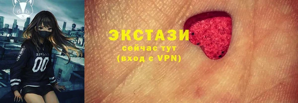 ECSTASY Алзамай