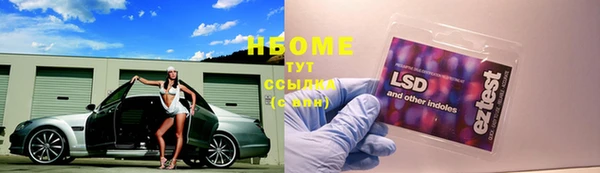 ECSTASY Алзамай