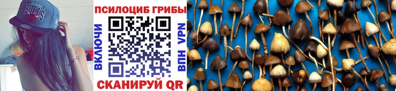 наркошоп  Куса  нарко площадка какой сайт  Галлюциногенные грибы Psilocybe 